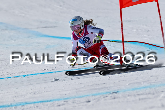 NC + NJC DH ,Frauen + Männer Axamer Lizum 25.03.2026