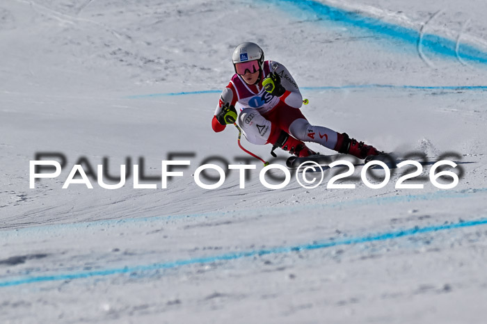 NC + NJC DH ,Frauen + Männer Axamer Lizum 25.03.2026