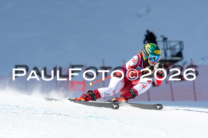 NC + NJC DH ,Frauen + Männer Axamer Lizum 25.03.2026