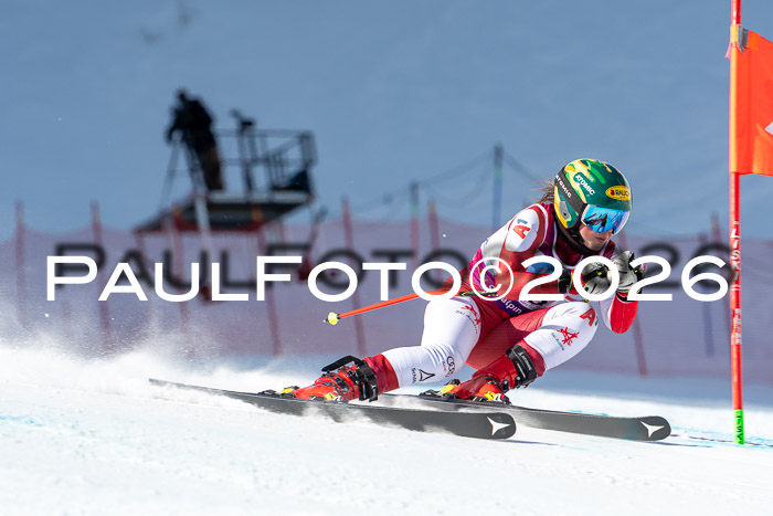 NC + NJC DH ,Frauen + Männer Axamer Lizum 25.03.2026