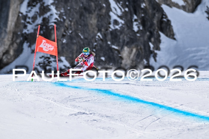 NC + NJC DH ,Frauen + Männer Axamer Lizum 25.03.2026