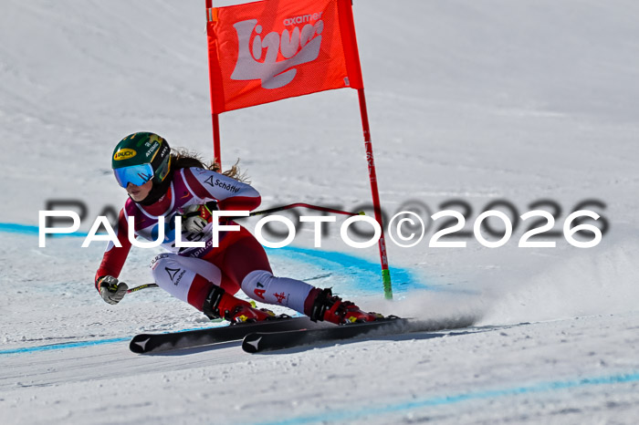 NC + NJC DH ,Frauen + Männer Axamer Lizum 25.03.2026