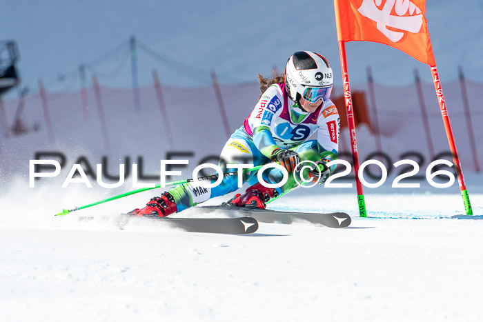 NC + NJC DH ,Frauen + Männer Axamer Lizum 25.03.2026