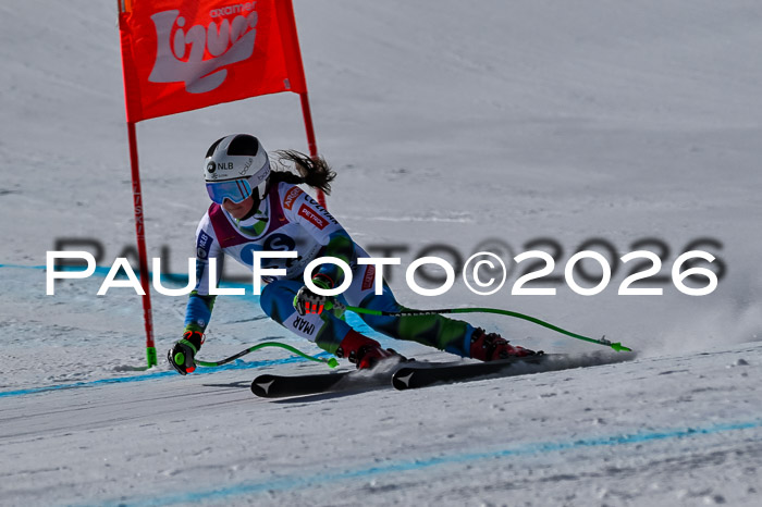 NC + NJC DH ,Frauen + Männer Axamer Lizum 25.03.2026