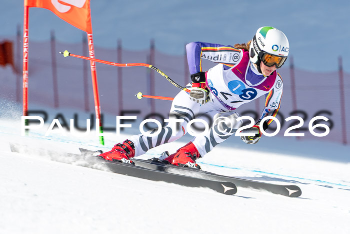 NC + NJC DH ,Frauen + Männer Axamer Lizum 25.03.2026