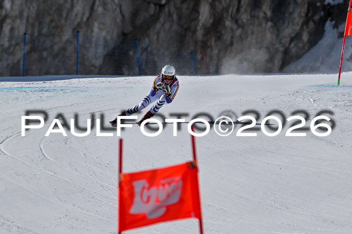 NC + NJC DH ,Frauen + Männer Axamer Lizum 25.03.2026