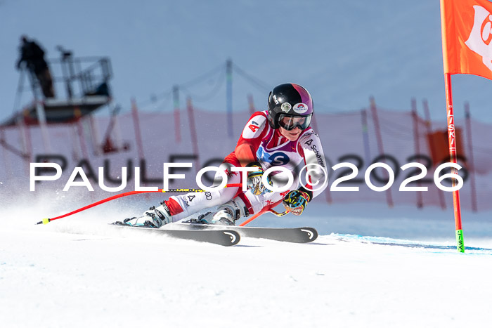 NC + NJC DH ,Frauen + Männer Axamer Lizum 25.03.2026