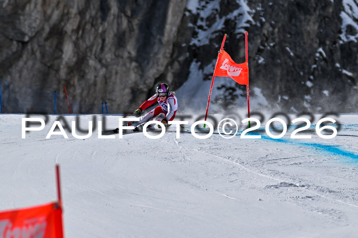 NC + NJC DH ,Frauen + Männer Axamer Lizum 25.03.2026