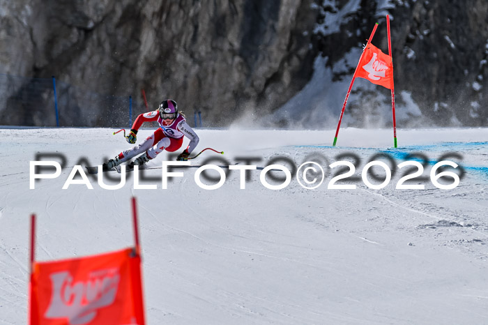 NC + NJC DH ,Frauen + Männer Axamer Lizum 25.03.2026