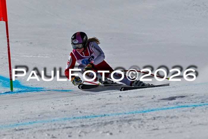 NC + NJC DH ,Frauen + Männer Axamer Lizum 25.03.2026