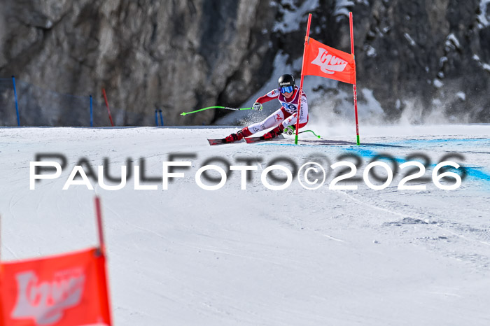 NC + NJC DH ,Frauen + Männer Axamer Lizum 25.03.2026