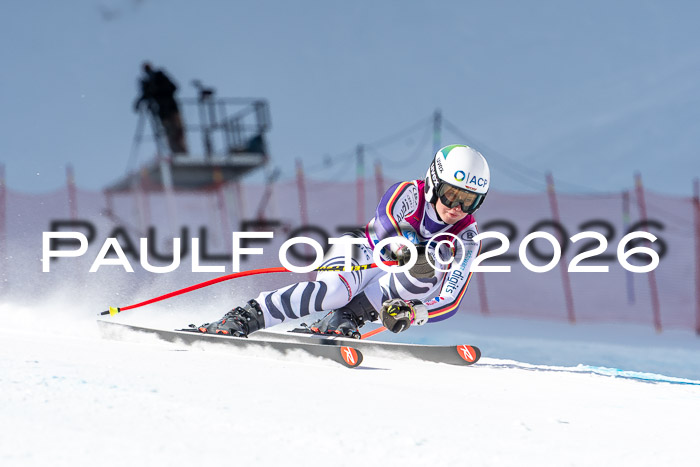 NC + NJC DH ,Frauen + Männer Axamer Lizum 25.03.2026