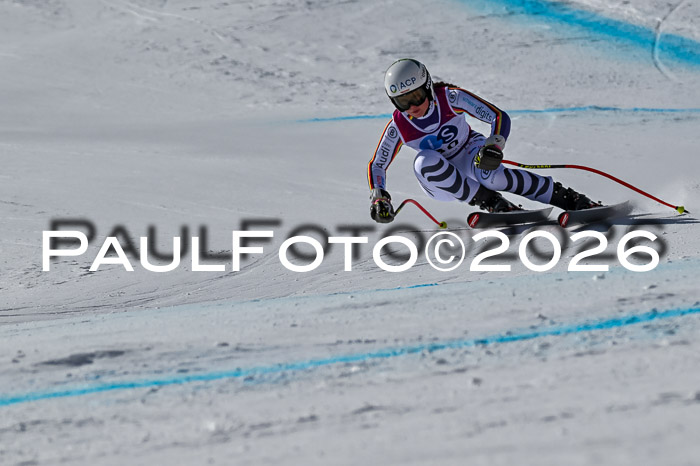 NC + NJC DH ,Frauen + Männer Axamer Lizum 25.03.2026