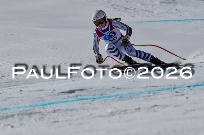 NC + NJC DH ,Frauen + Männer Axamer Lizum 25.03.2026