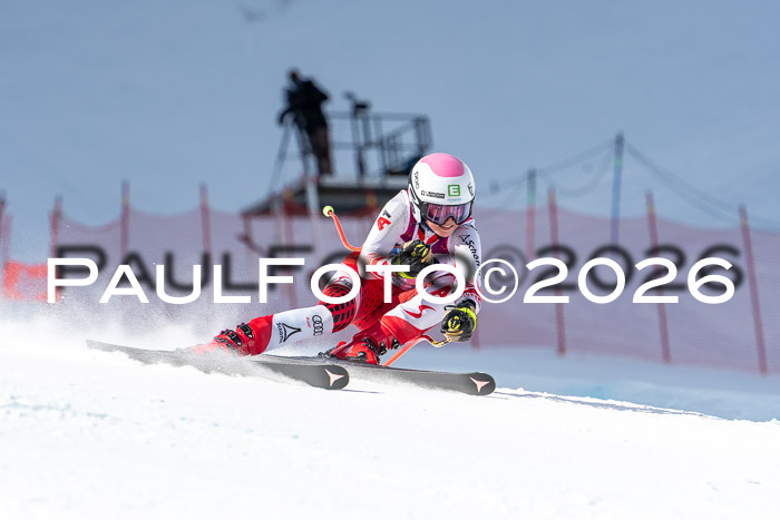 NC + NJC DH ,Frauen + Männer Axamer Lizum 25.03.2026