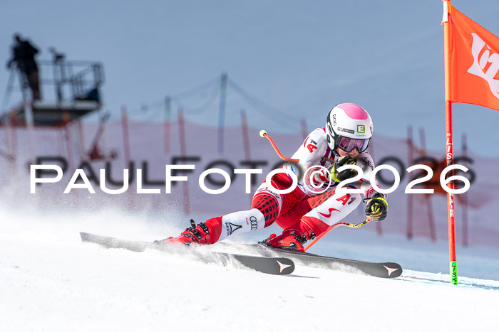 NC + NJC DH ,Frauen + Männer Axamer Lizum 25.03.2026