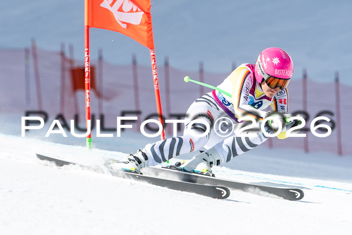 NC + NJC DH ,Frauen + Männer Axamer Lizum 25.03.2026