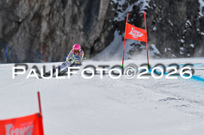 NC + NJC DH ,Frauen + Männer Axamer Lizum 25.03.2026