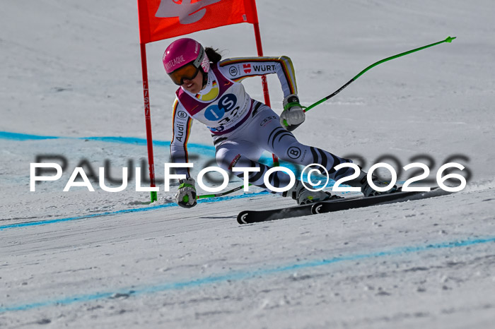 NC + NJC DH ,Frauen + Männer Axamer Lizum 25.03.2026