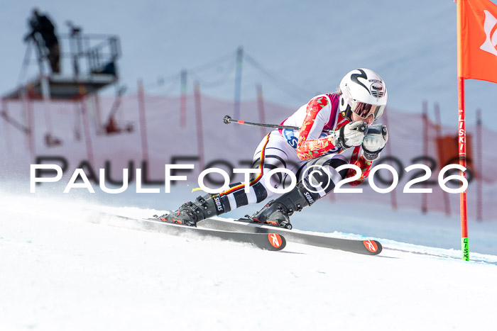 NC + NJC DH ,Frauen + Männer Axamer Lizum 25.03.2026