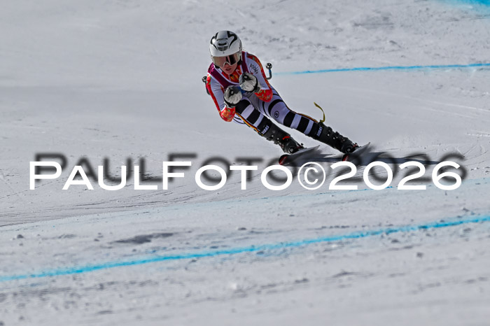 NC + NJC DH ,Frauen + Männer Axamer Lizum 25.03.2026