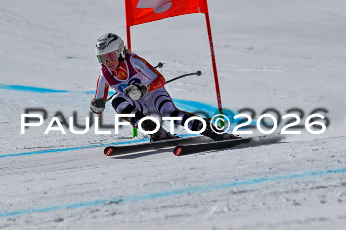 NC + NJC DH ,Frauen + Männer Axamer Lizum 25.03.2026