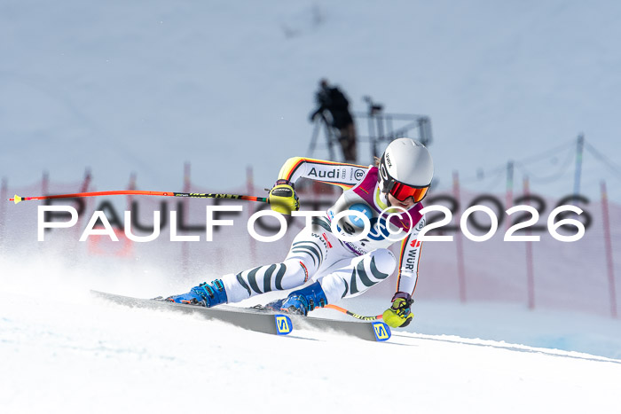 NC + NJC DH ,Frauen + Männer Axamer Lizum 25.03.2026