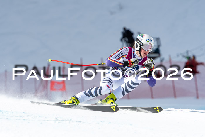 NC + NJC DH ,Frauen + Männer Axamer Lizum 25.03.2026