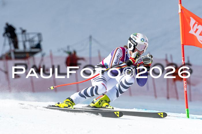 NC + NJC DH ,Frauen + Männer Axamer Lizum 25.03.2026