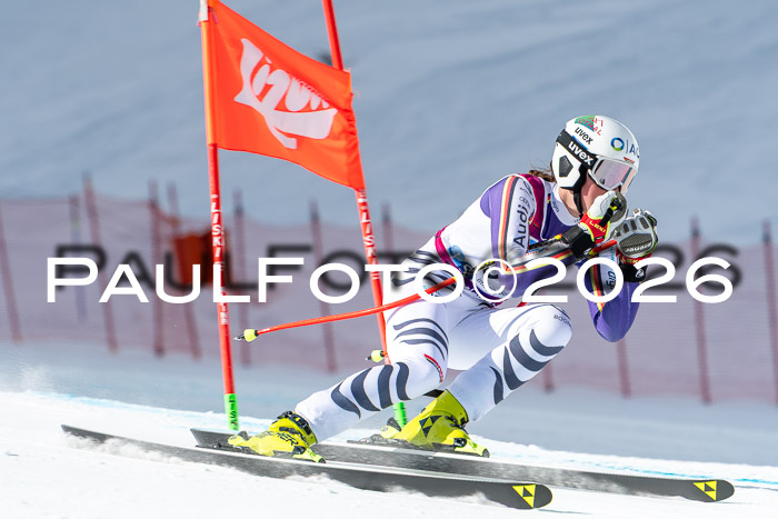 NC + NJC DH ,Frauen + Männer Axamer Lizum 25.03.2026