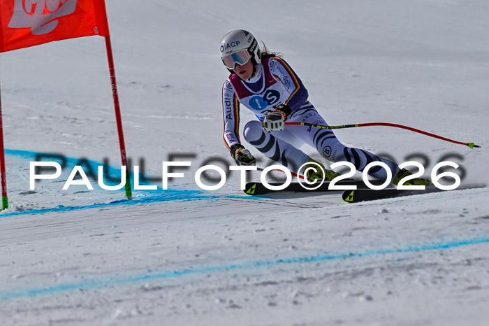 NC + NJC DH ,Frauen + Männer Axamer Lizum 25.03.2026