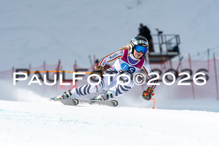 NC + NJC DH ,Frauen + Männer Axamer Lizum 25.03.2026