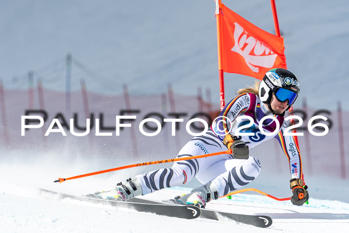 NC + NJC DH ,Frauen + Männer Axamer Lizum 25.03.2026