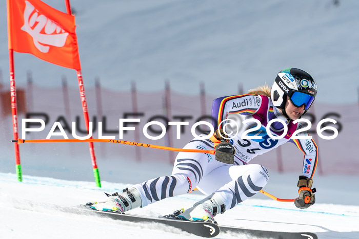 NC + NJC DH ,Frauen + Männer Axamer Lizum 25.03.2026