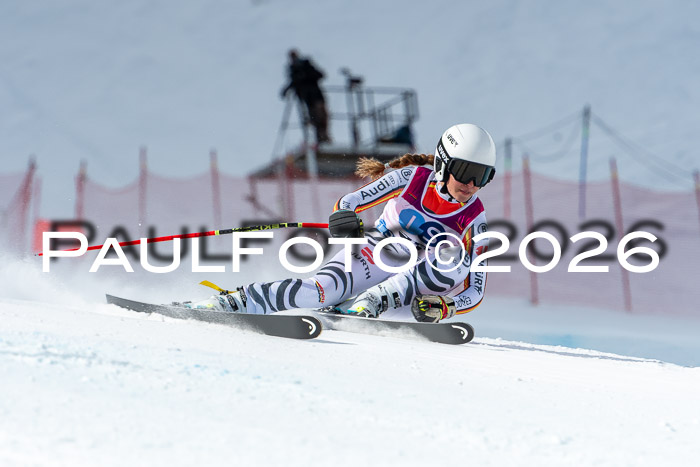 NC + NJC DH ,Frauen + Männer Axamer Lizum 25.03.2026