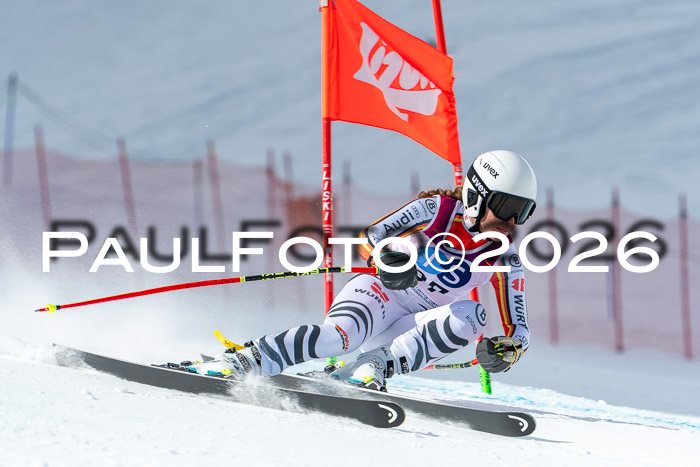 NC + NJC DH ,Frauen + Männer Axamer Lizum 25.03.2026