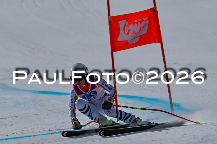 NC + NJC DH ,Frauen + Männer Axamer Lizum 25.03.2026