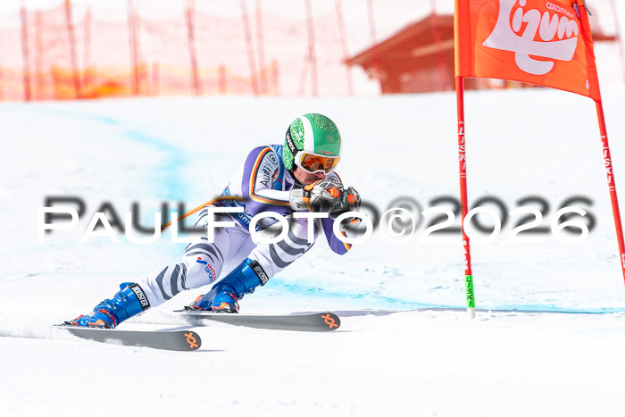 NC + NJC DH ,Frauen + Männer Axamer Lizum 25.03.2026