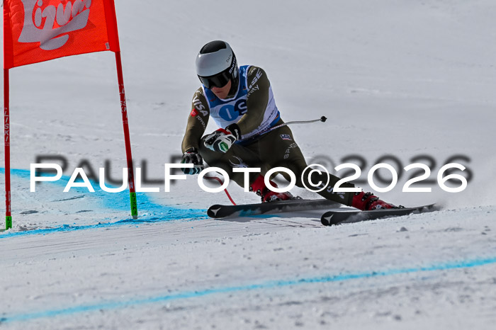 NC + NJC DH ,Frauen + Männer Axamer Lizum 25.03.2026