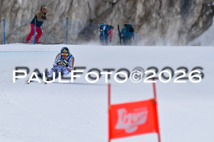 NC + NJC DH ,Frauen + Männer Axamer Lizum 25.03.2026