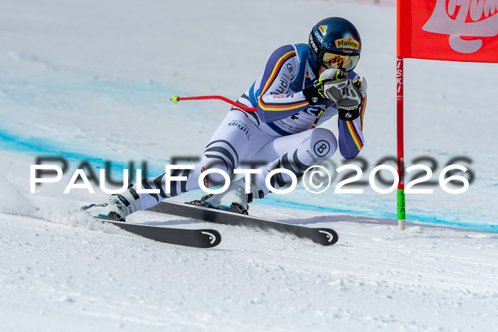 NC + NJC DH ,Frauen + Männer Axamer Lizum 25.03.2026