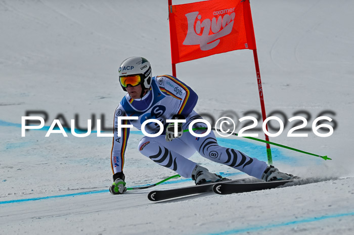 NC + NJC DH ,Frauen + Männer Axamer Lizum 25.03.2026