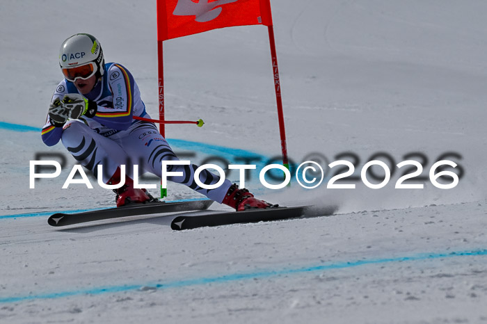 NC + NJC DH ,Frauen + Männer Axamer Lizum 25.03.2026