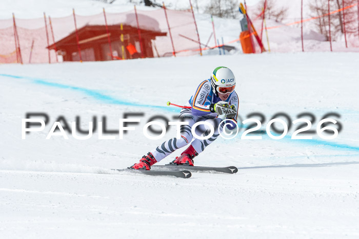 NC + NJC DH ,Frauen + Männer Axamer Lizum 25.03.2026