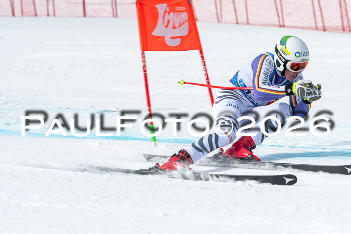 NC + NJC DH ,Frauen + Männer Axamer Lizum 25.03.2026