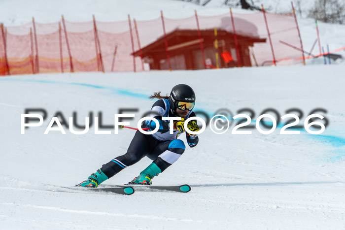 NC + NJC DH ,Frauen + Männer Axamer Lizum 25.03.2026