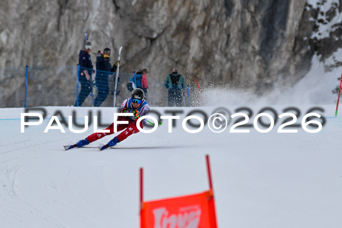 NC + NJC DH ,Frauen + Männer Axamer Lizum 25.03.2026