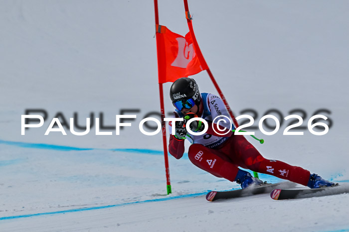 NC + NJC DH ,Frauen + Männer Axamer Lizum 25.03.2026