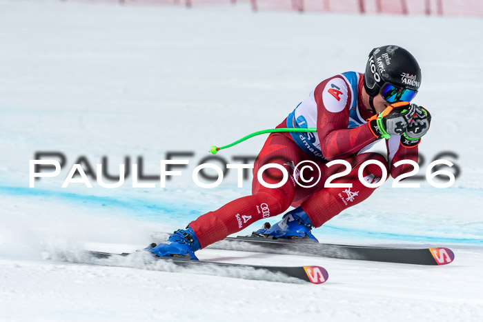 NC + NJC DH ,Frauen + Männer Axamer Lizum 25.03.2026