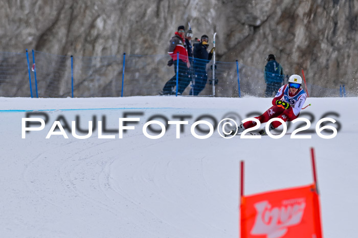 NC + NJC DH ,Frauen + Männer Axamer Lizum 25.03.2026